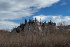 IMG_1520