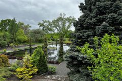 IMG_1770